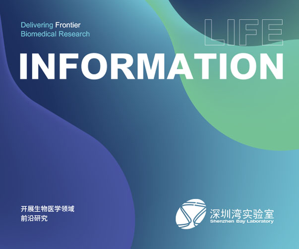 上海為什么是中國外籍品牌設計師最多的城市